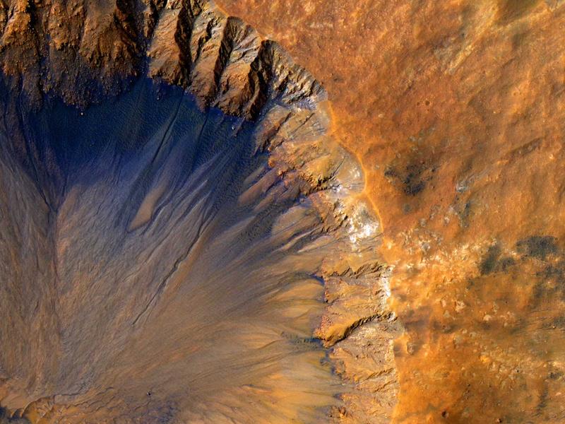 杏林密档<br>医疗资讯与学术交流专号